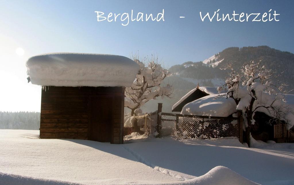 Hotel Haus Bergland à Fieberbrunn Extérieur photo